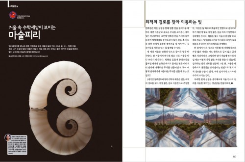 정팔면체 거울상자를 이용한 마술피리 