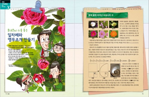 피보나치 수를 품은 잎차례와 앵무조개 만들기 