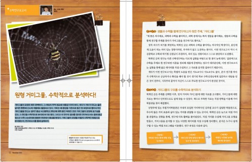 충남 서산중 원형 거미그물, 수학적으로 분석하다!