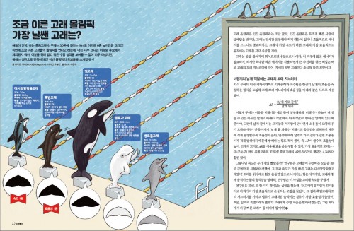 가장 날쌘 고래를 고래 날개의 가로세로비로 찾아보자! 
