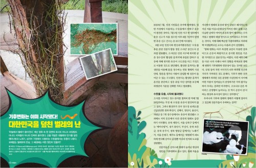 [인포그래픽] 대한민국을 덮친 벌레의 난