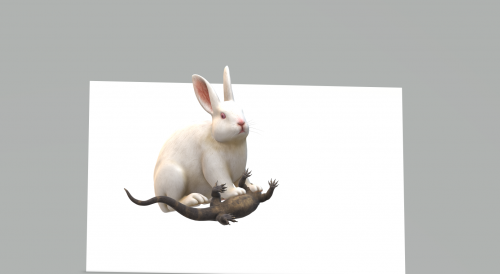 피보나치 수열에 관한 고찰