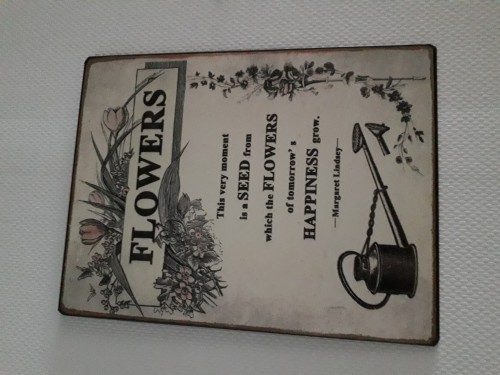 정비례의 그래프에 관해