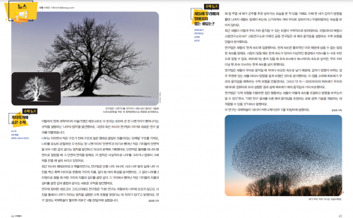 가지치기에  숨은 수학