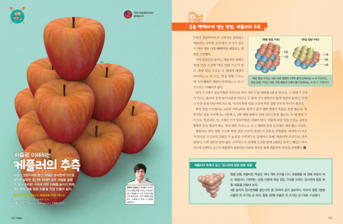 퍼즐로 이해하는 케플러의 추측