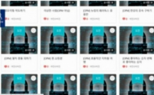 2등분하기